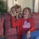 Abbi, Anne, and Atti