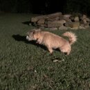 Atticus Finch! (997267)