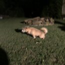 Atticus Finch! (993484)