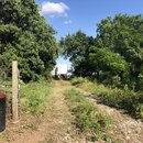 Trailer Removal from Axel Lane (996391)