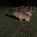 Atticus Finch! (994852)