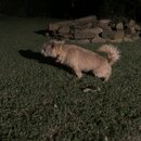 Atticus Finch! (994433)