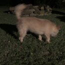 Atticus Finch! (997614)