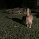 Atticus Finch! (993475)