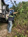 Trailer Removal from Axel Lane (997568)