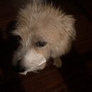 Atticus Finch! (994181)