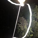 Some Random House Pics (993618)