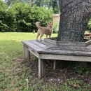 Banks Wedding Weekend (996859)