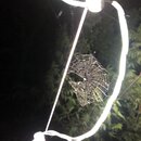 Some Random House Pics (995226)