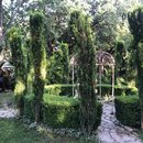 Banks Wedding Weekend (993313)