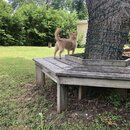 Banks Wedding Weekend (994874)