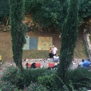 Banks Wedding Weekend (993407)