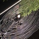 Some Random House Pics (995236)