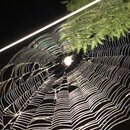 Some Random House Pics (994938)