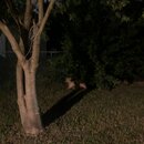 Some Random House Pics (993425)