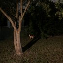 Some Random House Pics (997123)