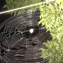 Some Random House Pics (994289)