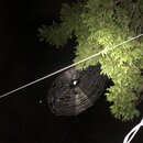 Some Random House Pics (995497)