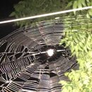 Some Random House Pics (995435)