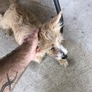 Banks Wedding Weekend (995213)