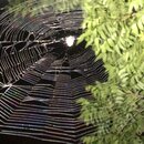 Some Random House Pics (995810)