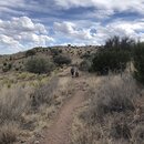 Marfa with Cassie and Arthur Jack (995680)