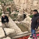 Group Trip to Jerash (993769)