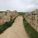 Group Trip to Jerash (994225)