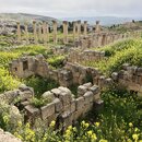 Group Trip to Jerash (994340)