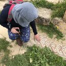 Group Trip to Jerash (995105)