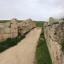 Group Trip to Jerash (993591)