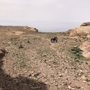 40th Birthday Hike to Aaron's Tomb (996848)