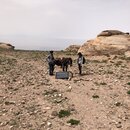 40th Birthday Hike to Aaron's Tomb (996185)