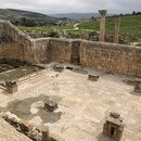 Group Trip to Jerash (995585)