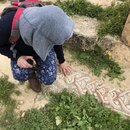 Group Trip to Jerash (995507)