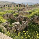 Group Trip to Jerash (997437)