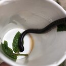 Group Trip to Jerash (993609)