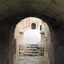 Group Trip to Jerash (994280)