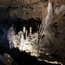 Inner Space Caverns with Wan Shan (994120)