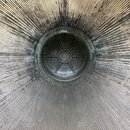 NASA with Wan Shan (997217)