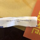 Wan Shan Comes Back to Austin (997559)