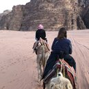 Al Rahayeb Desert Camp (996561)