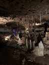 Inner Space Caverns with Wan Shan (994025)