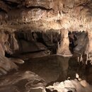 Inner Space Caverns with Wan Shan (993514)