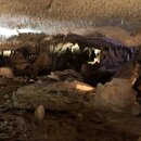 Inner Space Caverns with Wan Shan (996297)