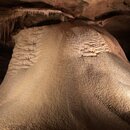 Inner Space Caverns with Wan Shan (994315)