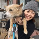 Wan Shan Comes Back to Austin (993988)