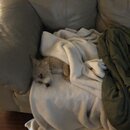 Wan Shan Comes Back to Austin (997007)