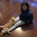 Wan Shan Comes Back to Austin (995159)