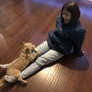 Wan Shan Comes Back to Austin (994147)